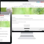 Affordable Web Design Costs for Acupuncturists in Cape Town, South Africa: Boost Your Practice Online