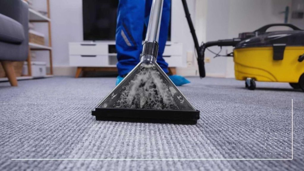 Affordable Carpet Cleaning Web Design Costs in Lagos, Nigeria: Expert Tips & Pricing Insights