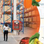 Affordable Web Design Costs for Wholesale Food Suppliers in Cape Town, South Africa: Boost Your Business Online