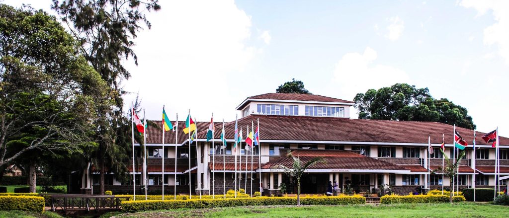 Exploring the Intersection of History & Humanities Education and Web Design Costs in Nairobi, Kenya