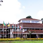 Exploring the Intersection of History & Humanities Education and Web Design Costs in Nairobi, Kenya