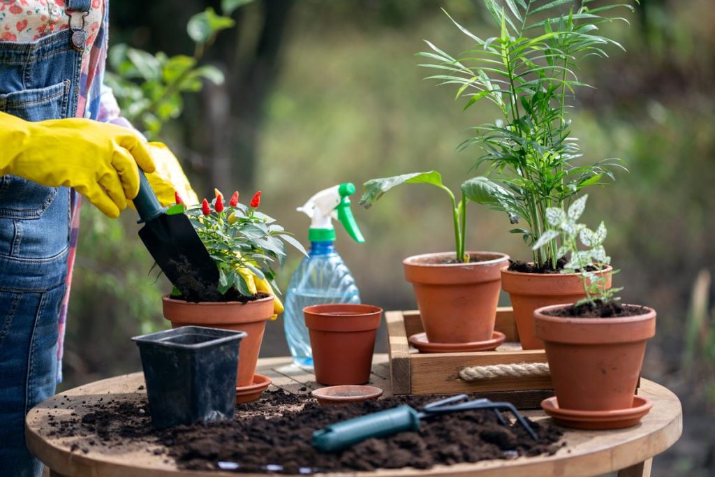 Affordable Web Design Costs for Wholesale Gardening Tools Businesses in Cape Town, South Africa