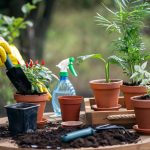Affordable Web Design Costs for Wholesale Gardening Tools Businesses in Cape Town, South Africa