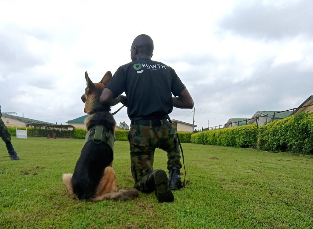Affordable Web Design Costs for Service Dog Trainers in Lagos, Nigeria: Boost Your Business Online