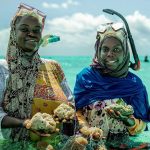 Farm-to-Table Suppliers Web Design Cost in Dodoma, Tanzania: Affordable Solutions for Local Entrepreneurs and Small Businesses