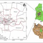 Ultimate Guide: Plant-Based Product Brands Web Design Cost in Dodoma, Tanzania – What Entrepreneurs Need to Know