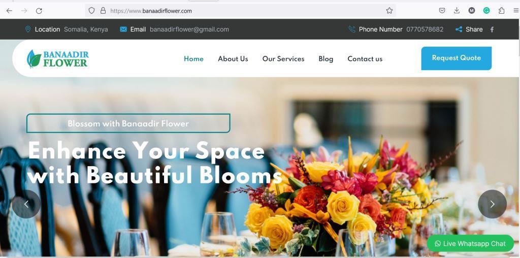 Affordable Web Design Costs for Health & Wellness Bloggers in Nairobi, Kenya: Boost Your Online Presence Today