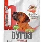 Affordable Web Design Costs for Raw Pet Food Suppliers in Kigali, Rwanda: Boost Your Business Online