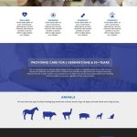 Affordable Web Design Costs for Pet Daycares in Nairobi, Kenya: Boost Your Business Today