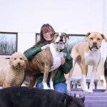 Affordable Web Design Costs for Dog Boarding Franchises in Kampala, Uganda: Boost Your Business Online
