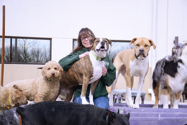 Affordable Web Design Costs for Dog Boarding Franchises in Kampala, Uganda: Boost Your Business Online
