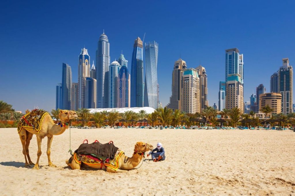 Luxury Travel Consultants in Nairobi: How Much Does Web Design Cost in Kenya?