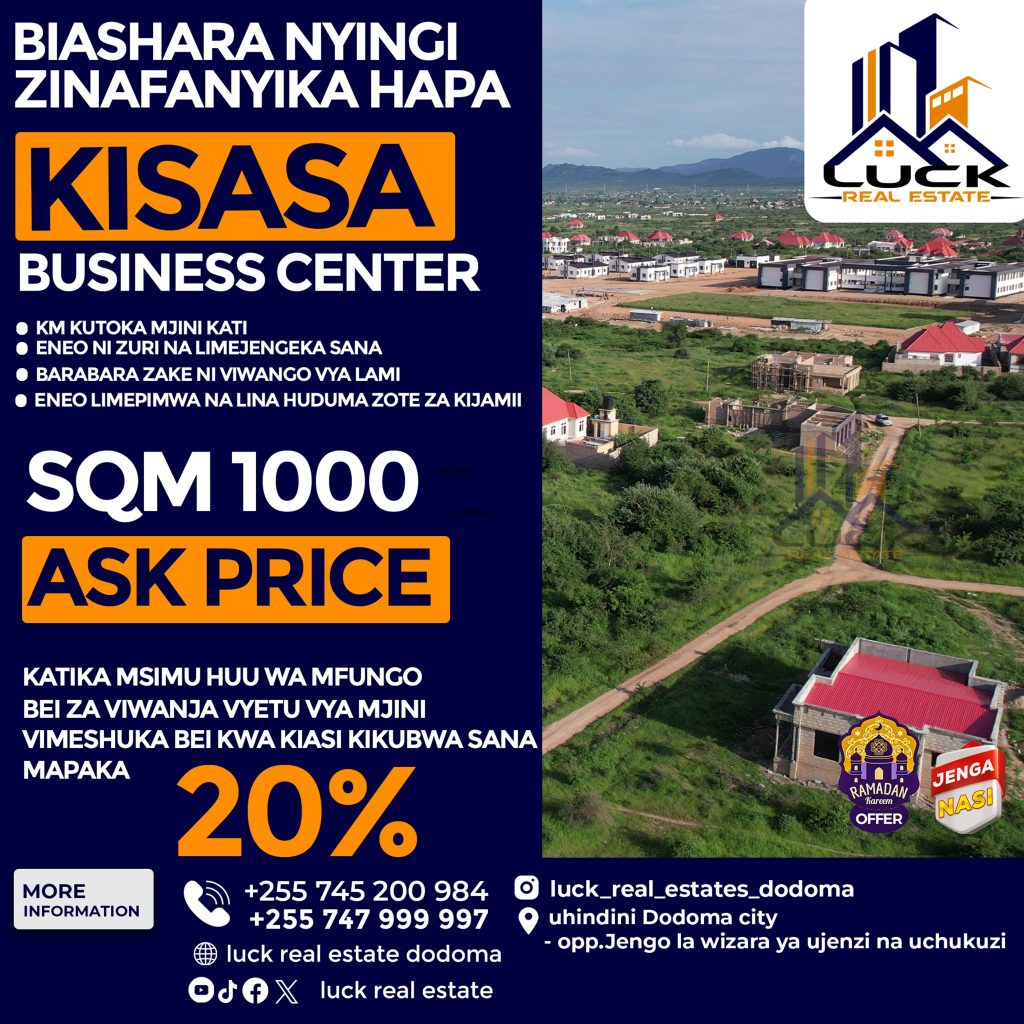 Affordable Web Design Costs for Real Estate Software Providers in Dodoma, Tanzania: Boost Your Business Today