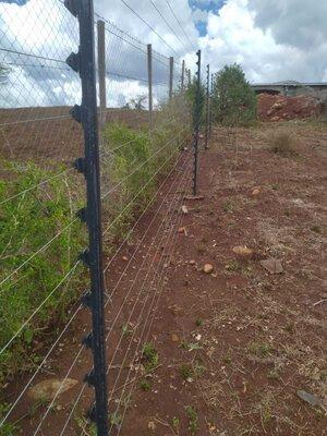 Affordable Fence Installation & Repair in Nairobi: Web Design Costs & Tips Explained