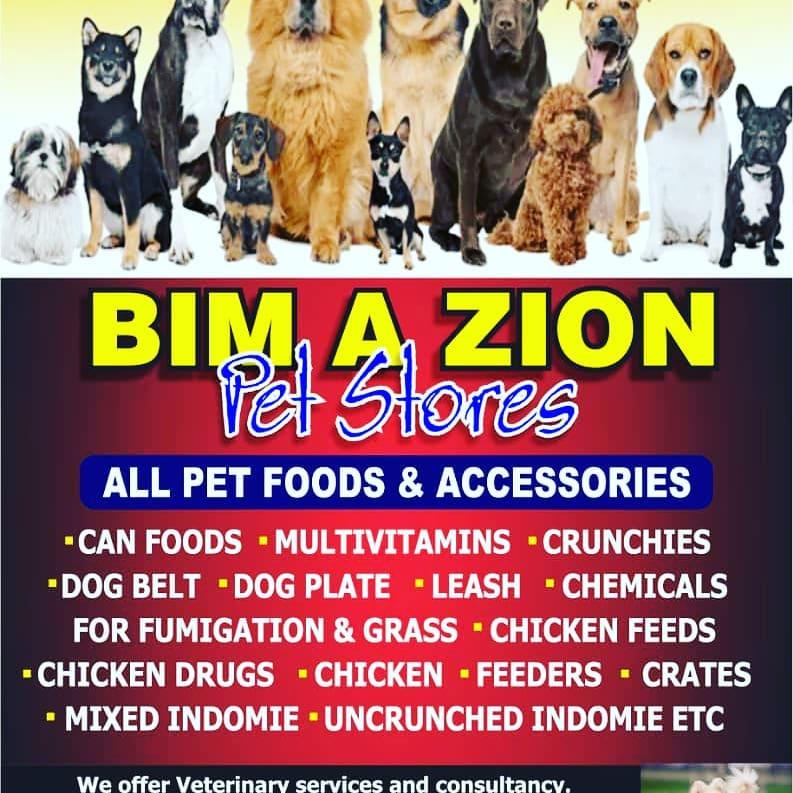 Pet Clothing Brands & Web Design Costs in Lagos, Nigeria: A Complete Guide for Pet Business Owners