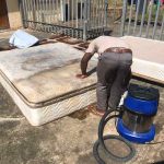 Affordable Mattress Cleaning Services & Web Design Costs in Nairobi, Kenya: Your Ultimate Guide