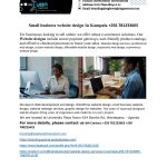 Affordable Web Design in Kampala: Boost Your Business with Monthly Pet Boxes Subscription Service