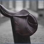 Affordable Web Design Costs for Horse Equipment Retailers in Cape Town, South Africa