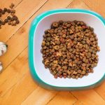 How Much Do Raw Pet Food Suppliers’ Web Design Services Cost in Dodoma, Tanzania? Essential Insights for Entrepreneurs & Small Business Owners