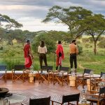 Affordable Honeymoon Travel Services Web Design Cost in Dodoma, Tanzania: Essential Insights for Local Entrepreneurs
