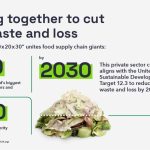 Affordable Web Design Costs for Zero-Waste Food Store Websites in Cape Town, South Africa