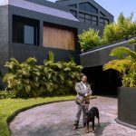 Affordable Web Design Costs for Pet Daycares in Lagos, Nigeria: Boost Your Business Today