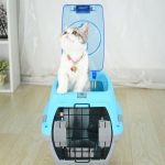 Affordable Web Design Costs for Pet Carriers & Strollers Shops in Kampala, Uganda