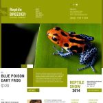 Affordable Exotic Pet Supplies Web Design Cost in Dodoma, Tanzania: Boost Your Business Today»