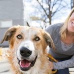 Affordable Web Design Costs in Cape Town for Pet Talent Scouts: Boost Your Pet Talent Business Today