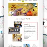 Affordable Web Design for Luggage Brands in Lagos, Nigeria: Boost Your Business Today