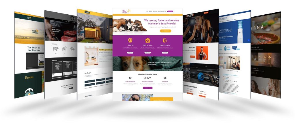 Affordable Web Design Costs for Animal Sanctuary Fundraisers in Cape Town, South Africa