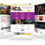 Affordable Web Design Costs for Animal Sanctuary Fundraisers in Cape Town, South Africa