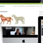 Affordable Pet First Aid Trainers Web Design Cost in Dodoma, Tanzania: Boost Your Business with Expert Website Solutions