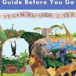 Affordable Web Design Costs for Farm Animal Sanctuaries in Kigali, Rwanda: A Complete Guide